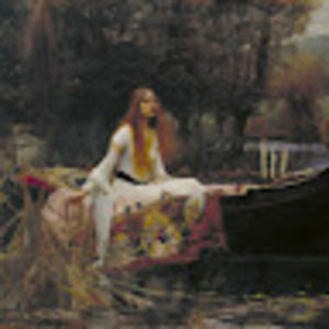 Meet your Posher, Willson